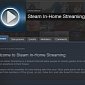 Steam In-Home Streaming Beta Coming This Year, Group Already Live