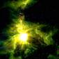 Stellar 'Nursery' Discovered in the Orion Nebula