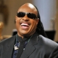 Stevie Wonder Reduced to Tears During Michael Jackson HBO Tribute