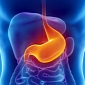 Stomach Bacterium Turns Off the Immune System