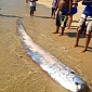 Strange 5m (17feet) Fish Washes Ashore in Mexico