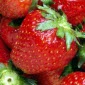 Strawberries:  Anti-Oxidant Superstars
