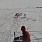 Street View Gets a Dog Sled Ride, as New Images from the Arctic Become Available