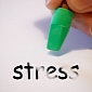 Stress Affects the Development of the Prefrontal Cortex