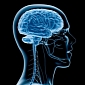 Stress Triggers Physiological Changes in the Brain, Ups Dementia Risk