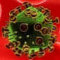 Structure of HIV Inner Shell Decoded by Scientists