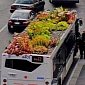 Spotlight: Student Takes to Planting Gardens on Top of City Buses