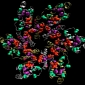 Study Could Allow for New HIV Vaccine Designs