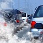 Study Finds Exposure to Air Pollution Makes the Brain Shrink