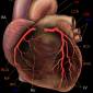 Study Shows Heart Grows New Cells