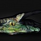Stunning Animal Portraits Are Actually Body Paintings