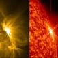 Sun Produced an M-Class Solar Flare on Wednesday