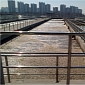 Superbacteria Found in Chinese Sewage Plants