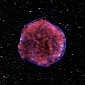 Supernova Remnant Heated by Reverse Shock Wave Found