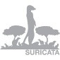 Suricata 2.0.3 Intrusion Detection and Prevention Engine for Linux Available for Download