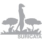Suricata 2.0 RC1 Is an Intrusion Detection and Prevention Engine for Linux