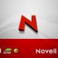 Suse Founder Leaves Novell
