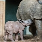 Switzerland's Zoo Basel Announces the Birth of an Indian Rhino Calf