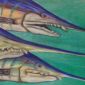 Swordfish from Dinosaur Era Found in Australia
