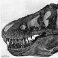 T. Rex Had the Nose of a Dog
