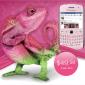 TELUS Goes Pink with BlackBerry Curve 9360