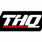 THQ Celebrates UFC 2009-Based Profits