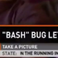 TV Stations Cover News About Shellshock Bug, Flounder Big Time