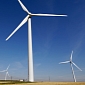 Tall Wind Turbines Kill More Birds than Short Ones, Researchers Say