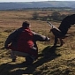 Tame Golden Eagle Approaches Bikers in Wales – Photo