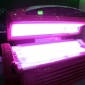 Tanning Beds Are as Addictive as Alcohol and Cigarettes