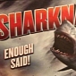 Tara Reid, Ian Ziering Confirmed for “Sharknado 2” on SyFy