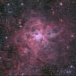 Tarantula Nebula in All Its Splendid Colors – Photo