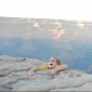 Teenager Spooks Mother with Grand Canyon Photo, Creates Meme