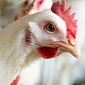 Tennessee's Ag-Gag Bill Vetoed by Governor Bill Haslam