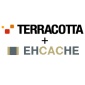 Terracotta Acquires EHCache, Creates Waves in Java Development World