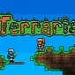 Terraria Player Builds Working In-Game Binary to Decimal Calculator - Video