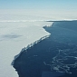 The Antarctic Ice Shelves Are Dissolving from Underneath