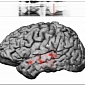 The Brain Picks Up Even the Slightest Variations in Speech