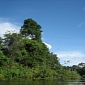 The Colombian Amazon Now Has Its Carbon Stocks Closely Monitored