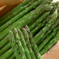 The Deal on Super Foods III: Asparagus