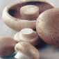 The Deal on Super Foods IV: Mushrooms