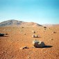 The Driest Place on Earth: the Atacama Desert