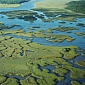 The Everglades Get $80 Million to Get Back on Their Feet