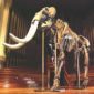 The Extinct Mammoth May Have Looked Like a Zebra