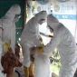 The First Bird Flu Fatality Confirmed by Chinese Authorities