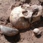 The Genocide of a Mysterious Ancient Culture, Proven by Massacres