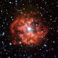 The Heart of Wolf-Rayet Stars Exposed