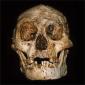 The "Hobbit" Skull from Flores Belongs to Modern People Suffering from Microcephaly