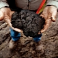 The Keystone XL Pipeline Will Up Tar Sands Production by 36%, Report Says