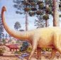 The Largest Australian Dinosaur